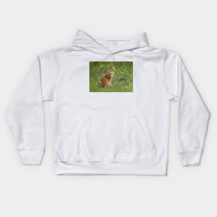 Red fox kit in the grass Kids Hoodie